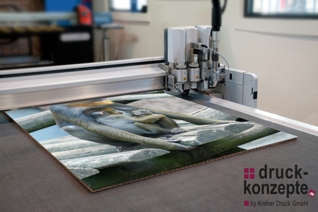 Hohlkammerplatten bedrucken